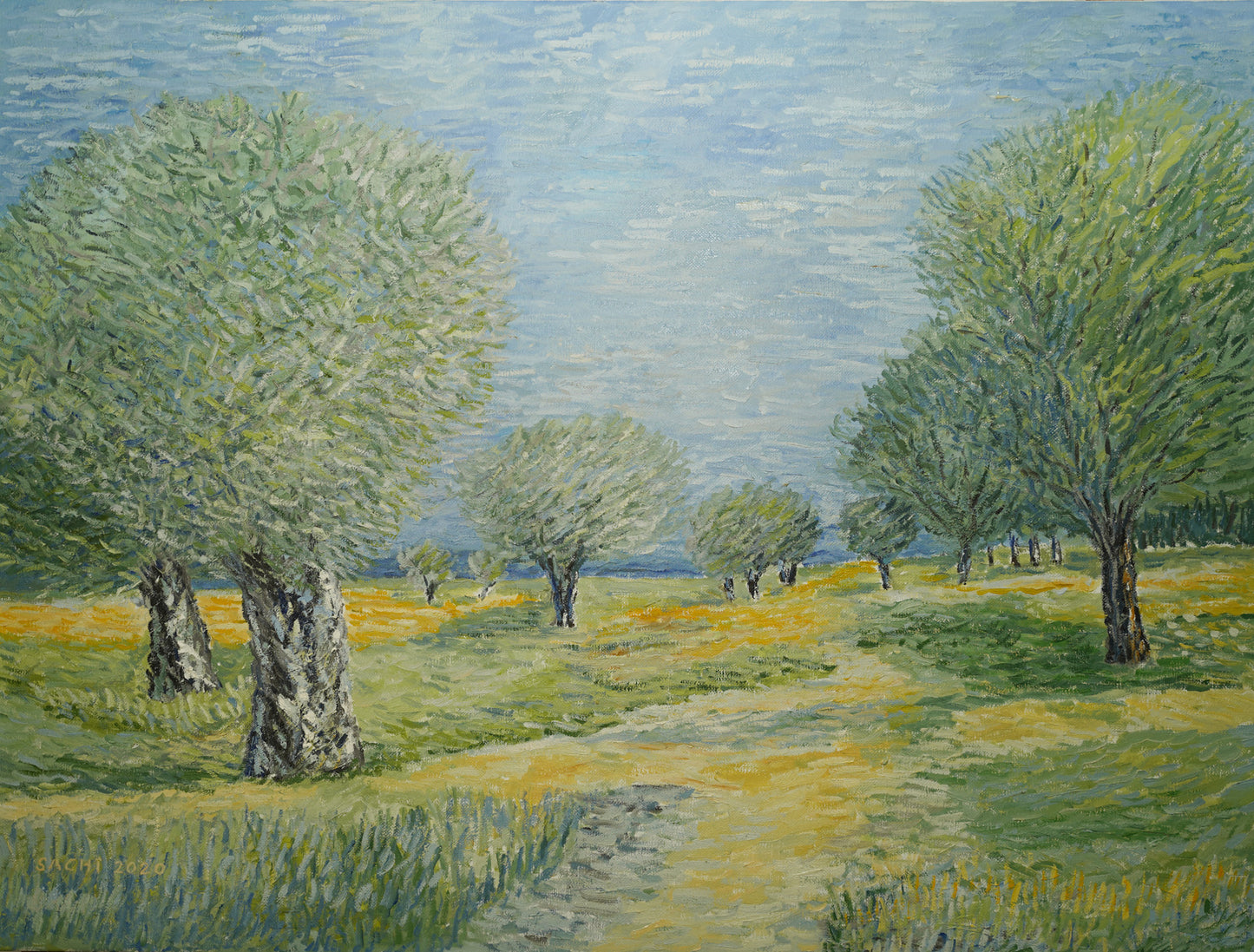 Olive trees of Afek