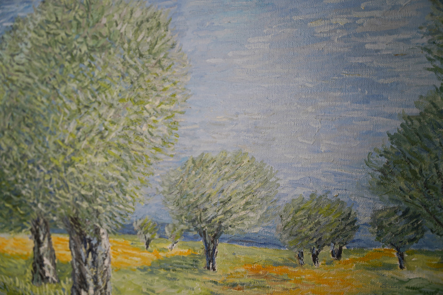 Olive trees of Afek