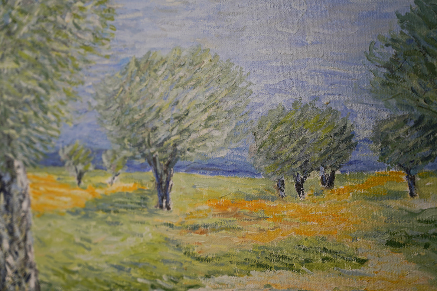Olive trees of Afek