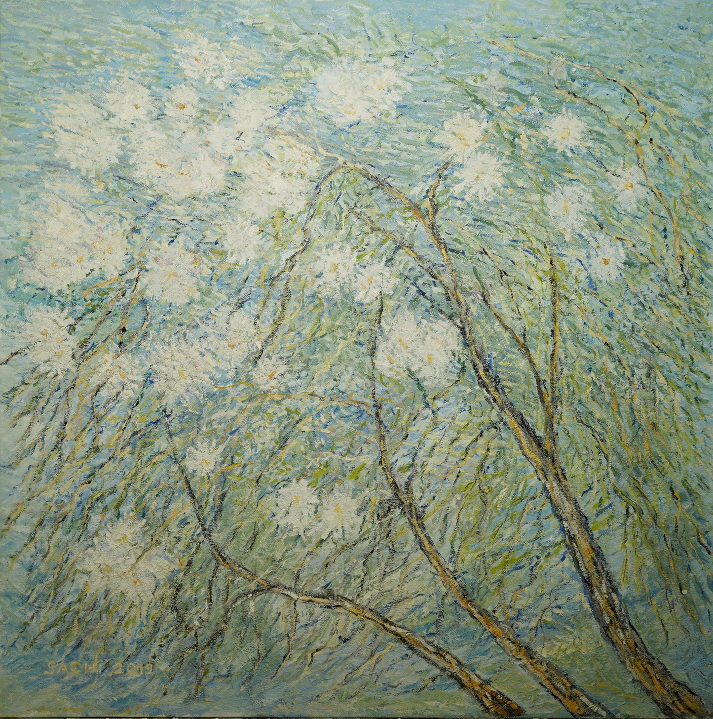 Almonds in the fall