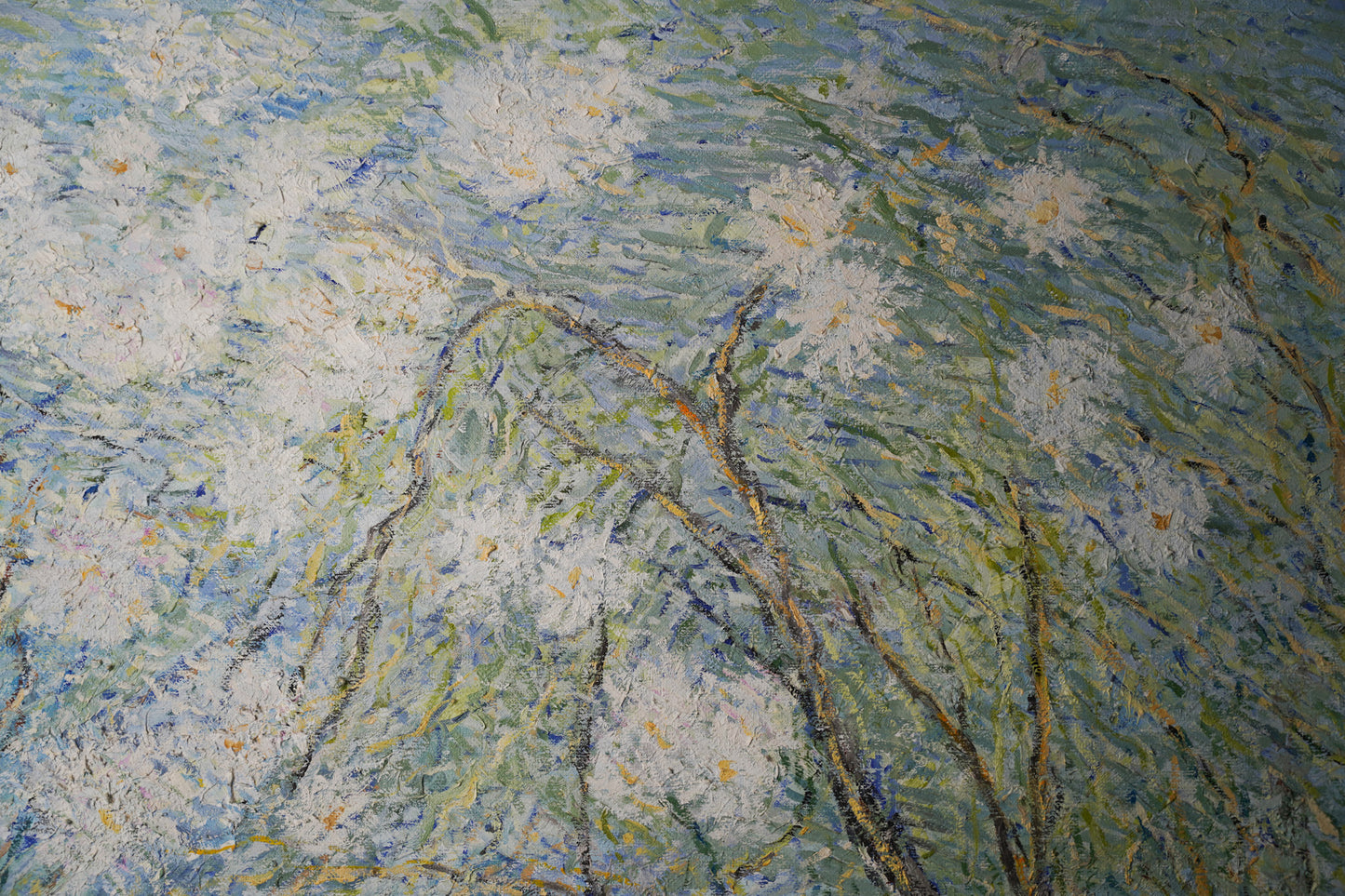 Almonds in the fall