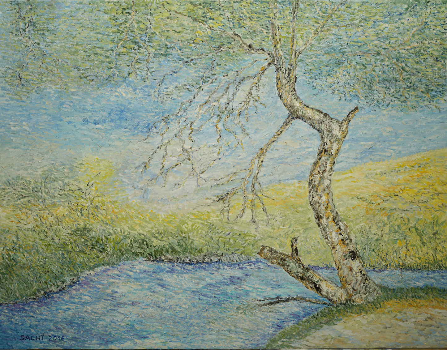 Lone tree of Snir