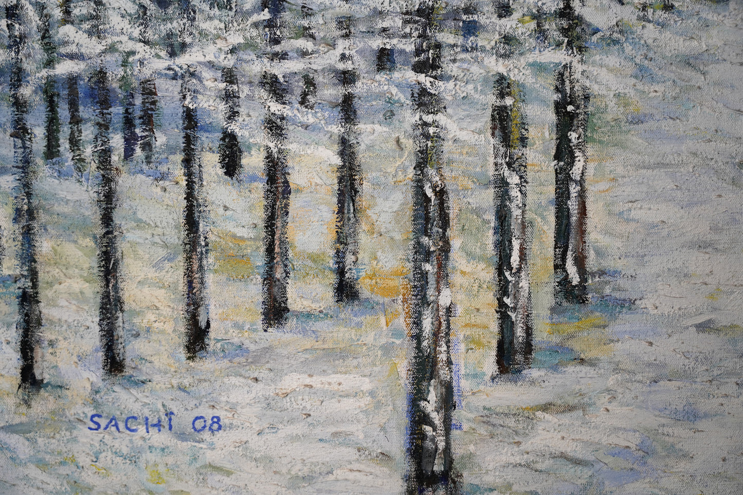 Snowy Dutch forest