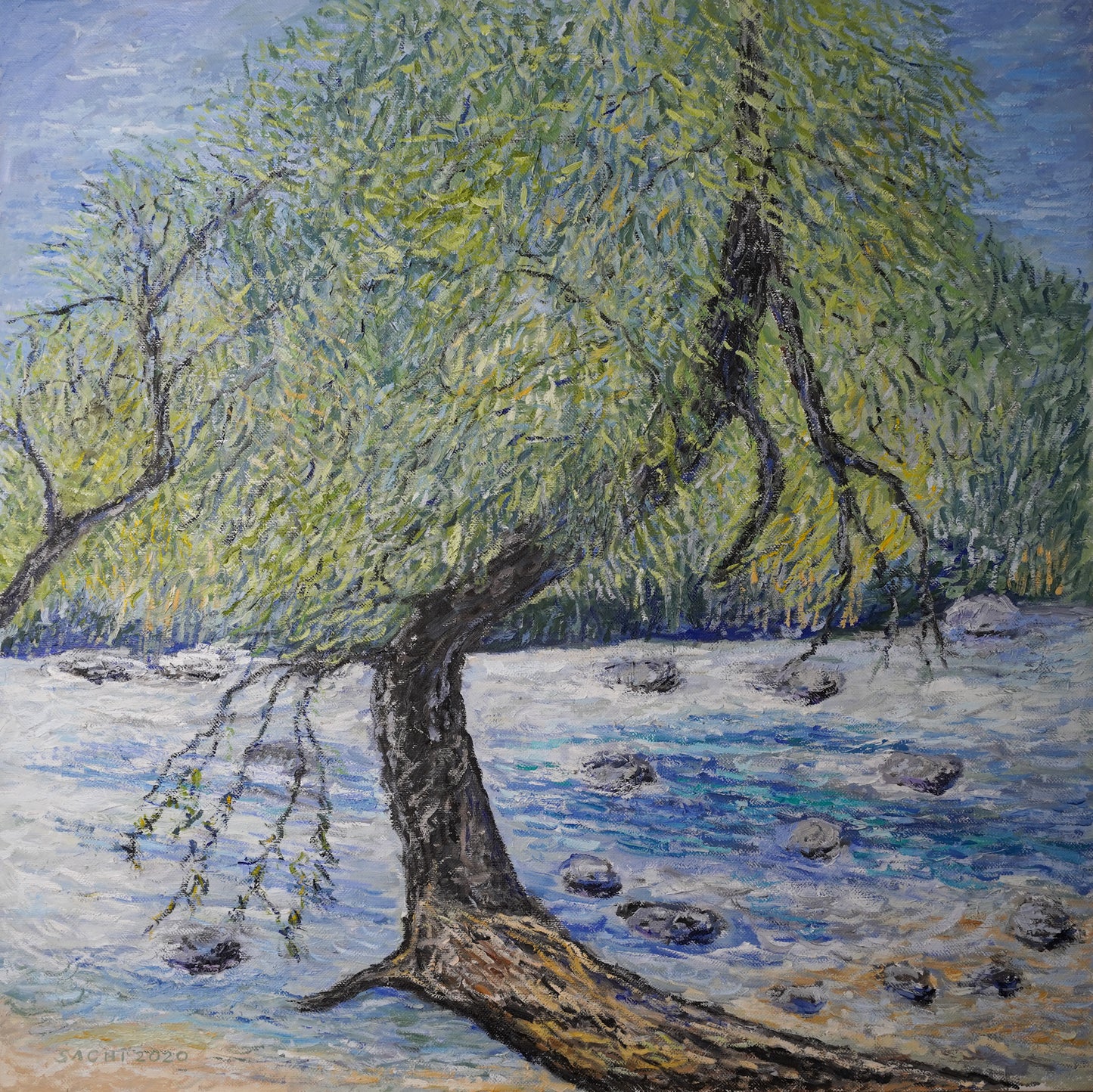 Watercourse tree