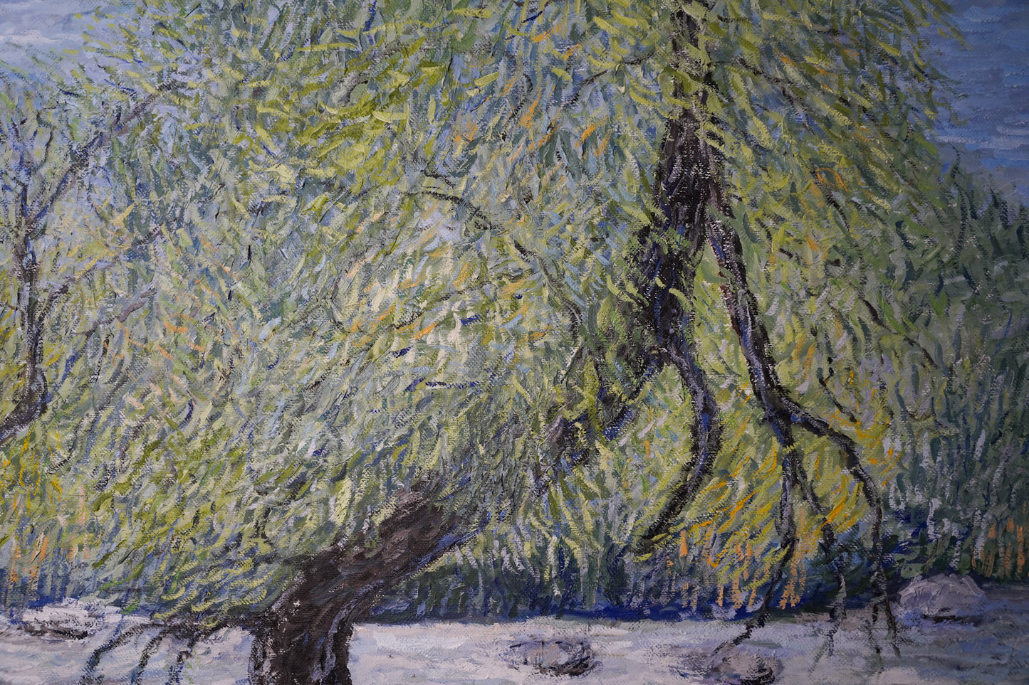 Watercourse tree