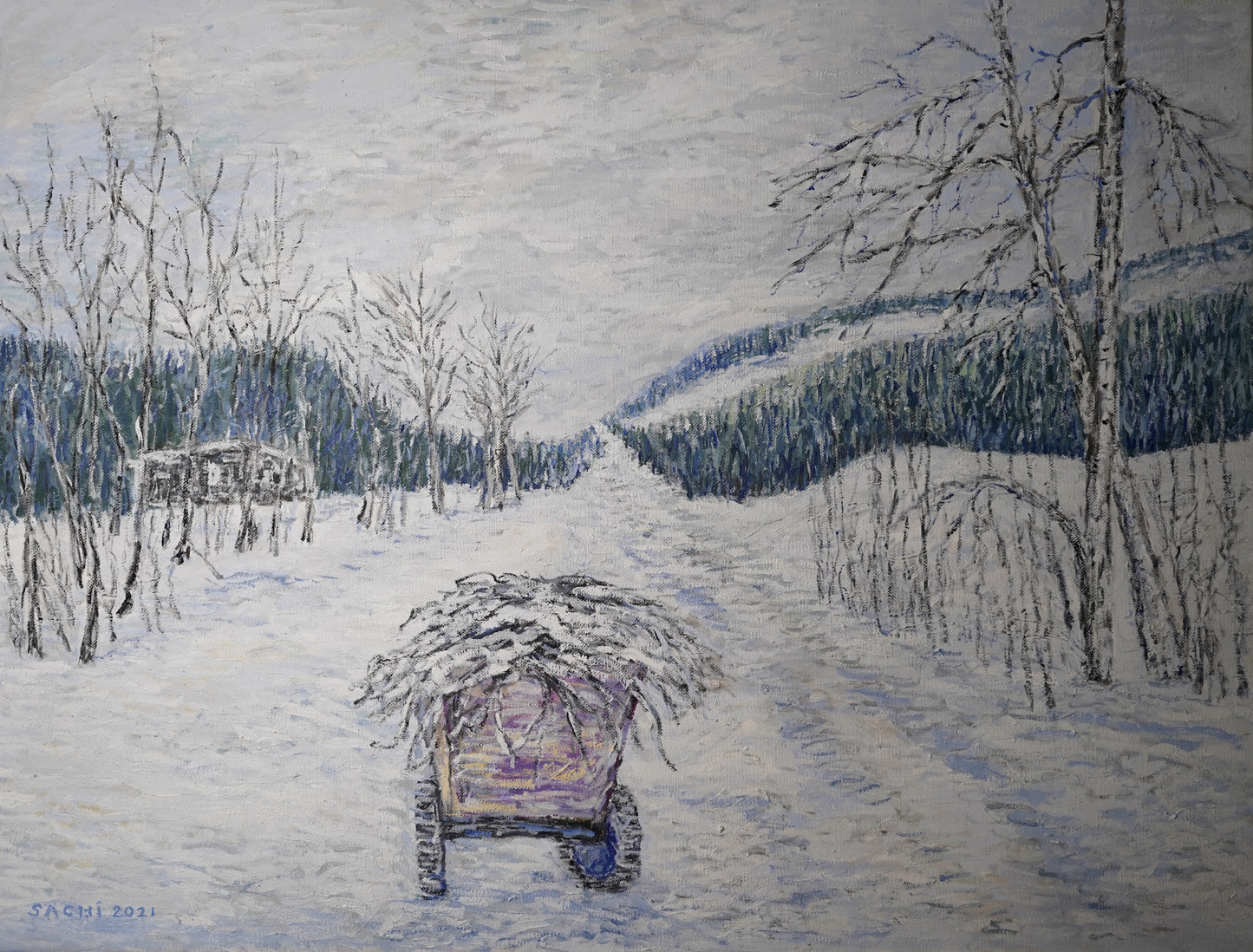 Lapland winter