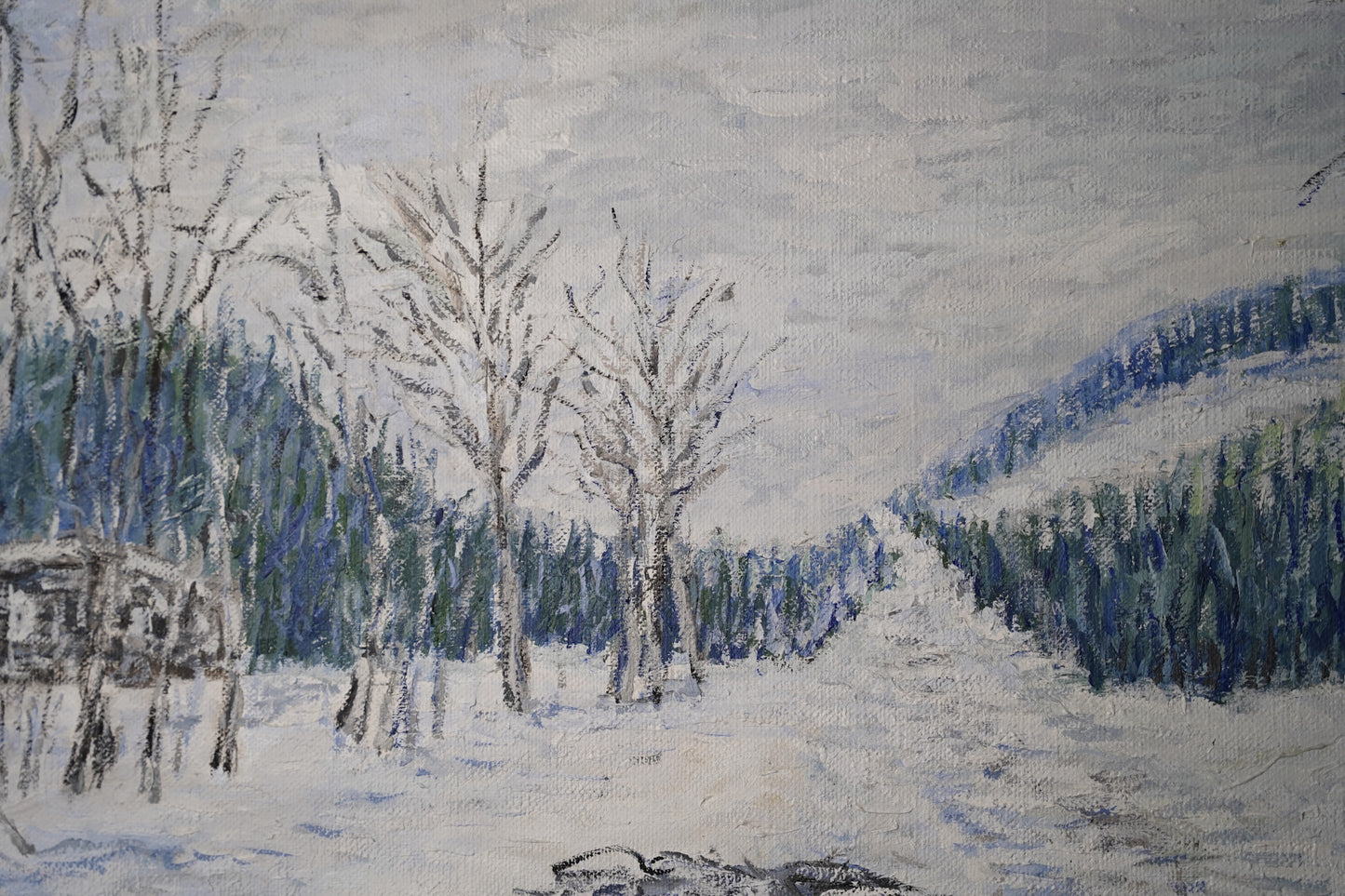Lapland winter