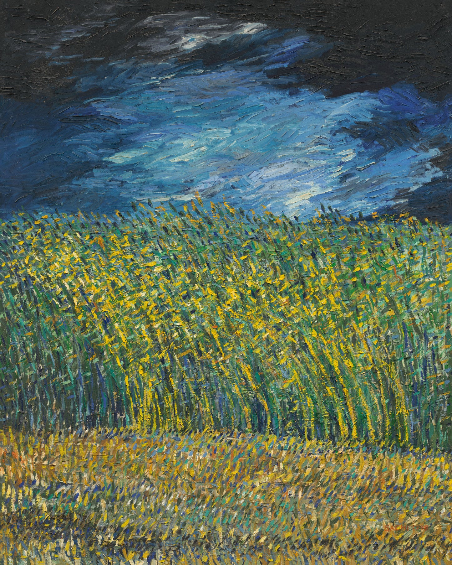 Wheat Field in Winter
