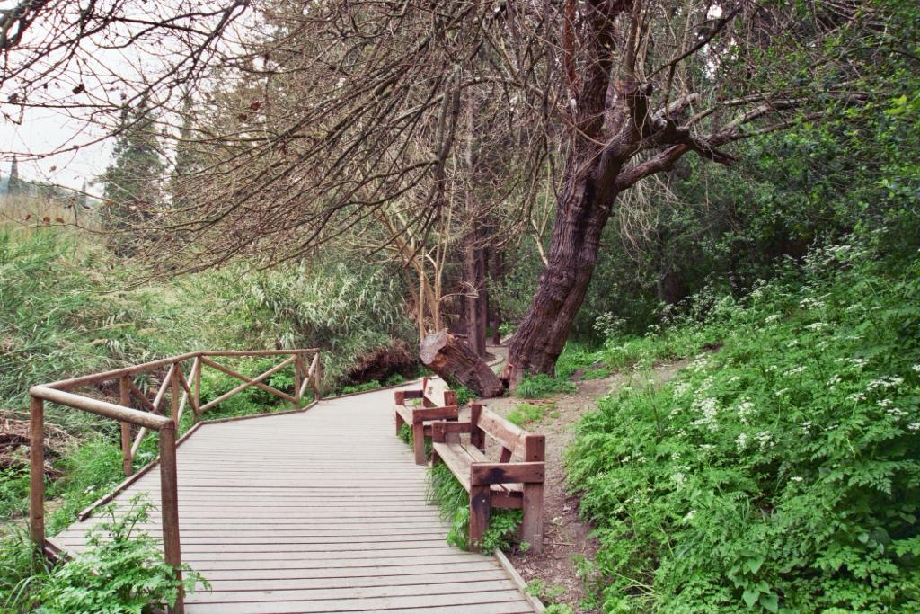 Lovers bench